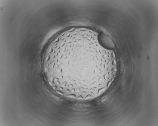 X0000060771215200512082025