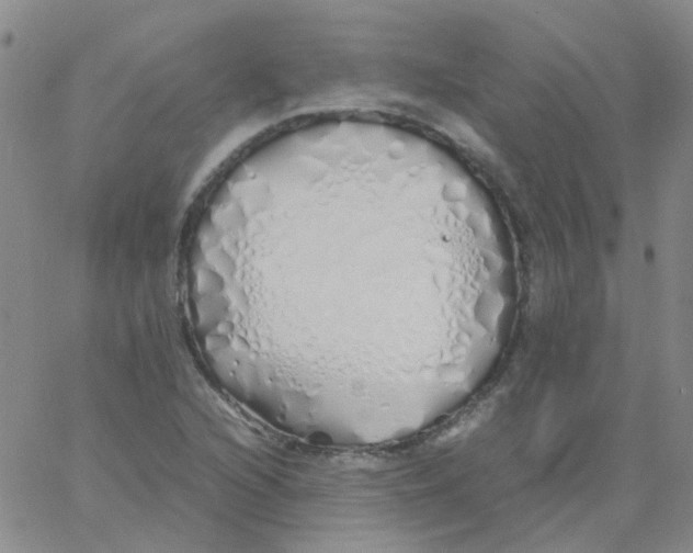 X0000060771216200512082025