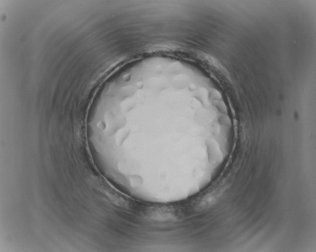 X0000060771217200512082025