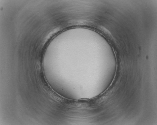 X0000060771218200512082025