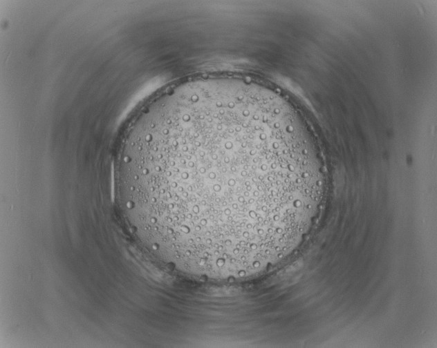 X0000060771219200512082025