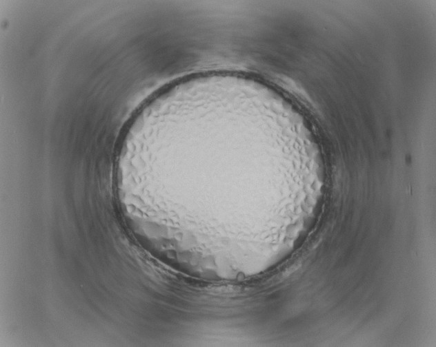 X0000060771220200512082025