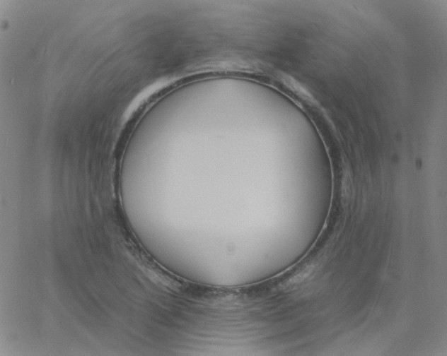 X0000060771222200512082025