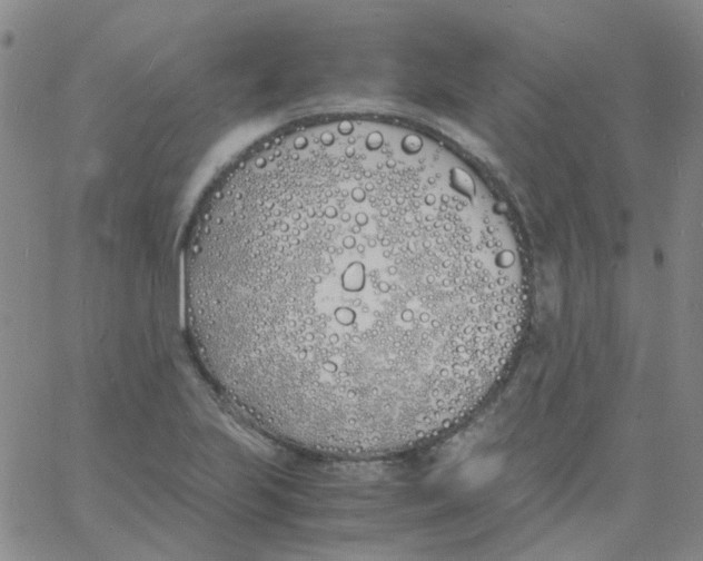 X0000060771223200512082025