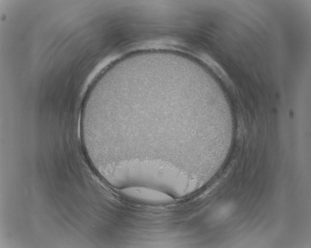 X0000060771224200512082025