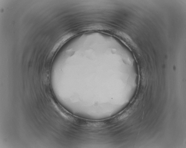 X0000060771225200512082025