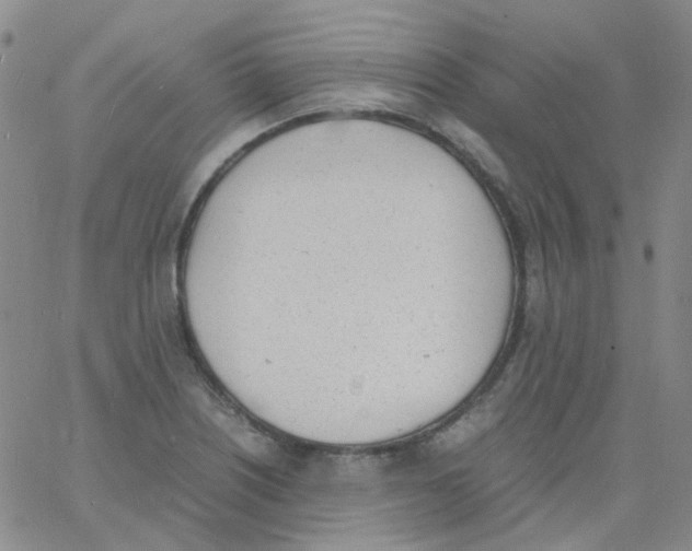 X0000060771226200512082025