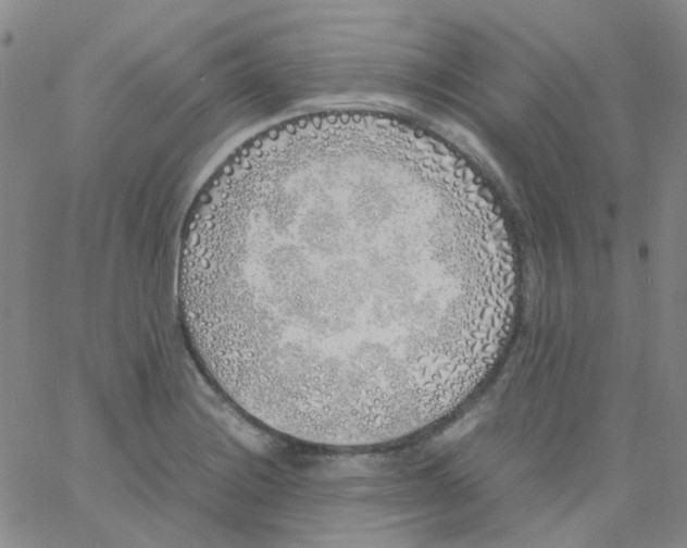 X0000060771228200512082025