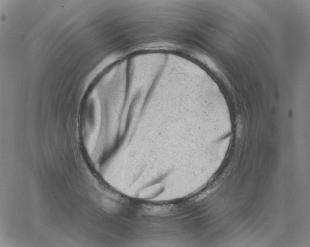 X0000060771229200512082025