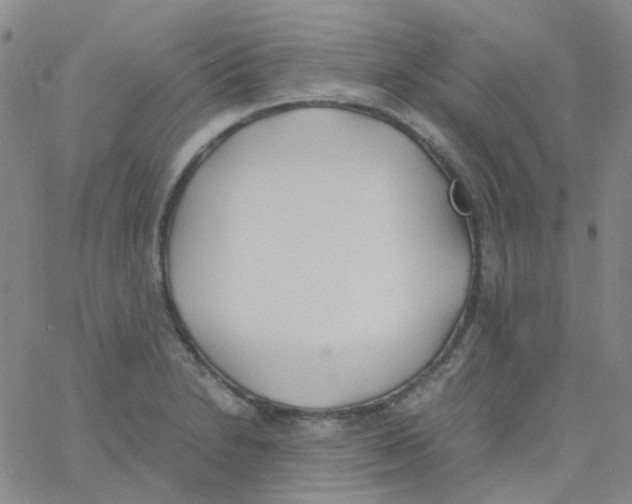 X0000060771230200512082025