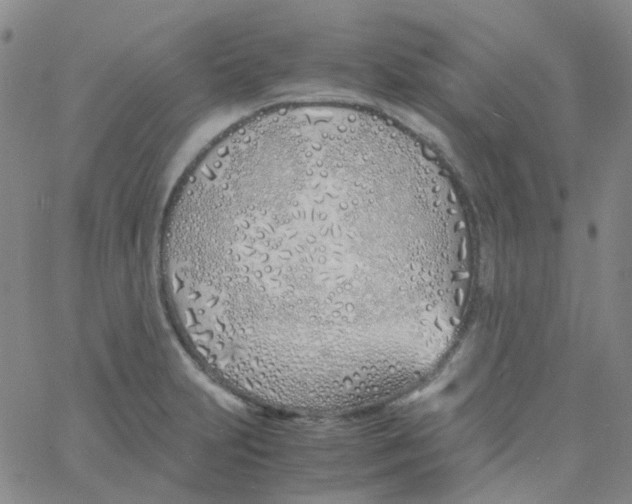 X0000060771231200512082025