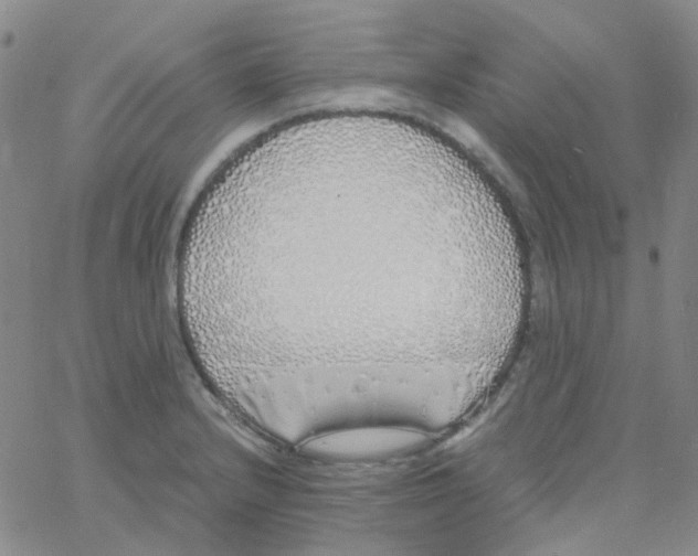 X0000060771232200512082025