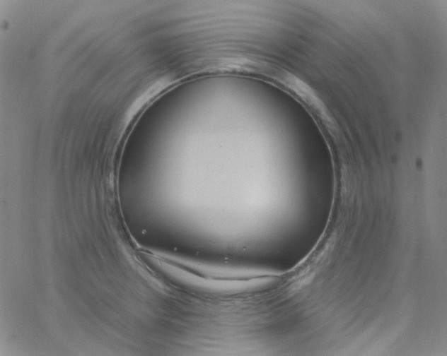 X0000060771234200512082025