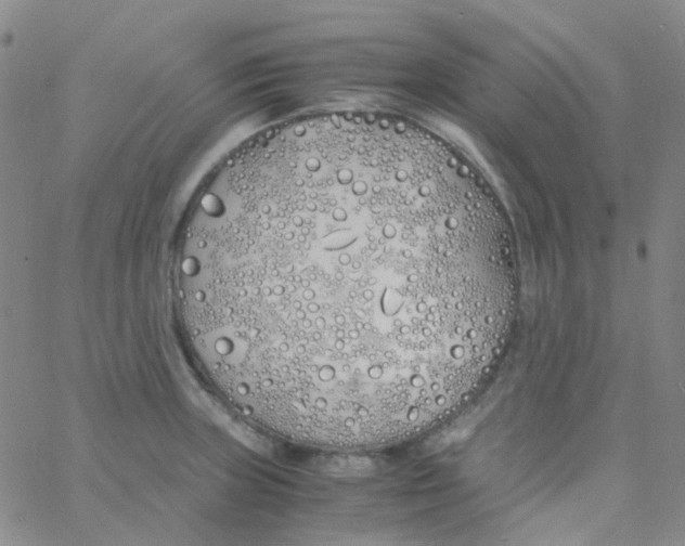 X0000060771235200512082025