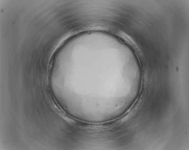 X0000060771236200512082025