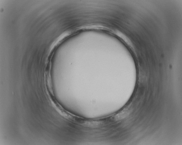 X0000060771237200512082025