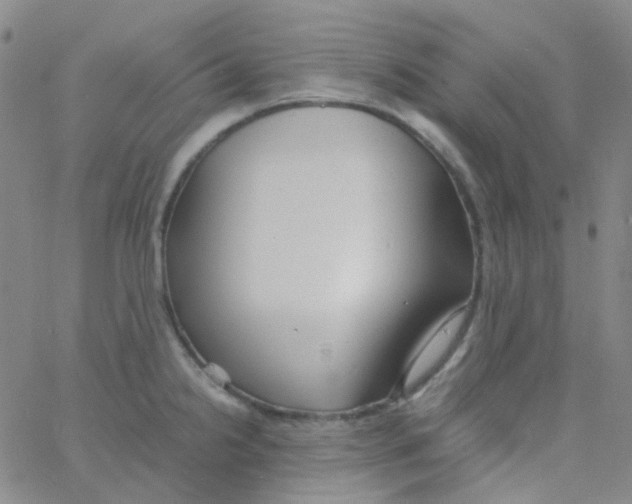 X0000060771238200512082025