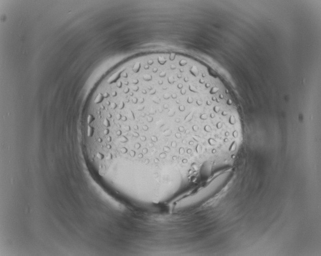 X0000060771239200512082025