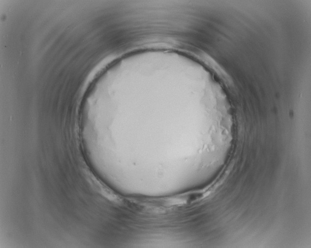 X0000060771240200512082025