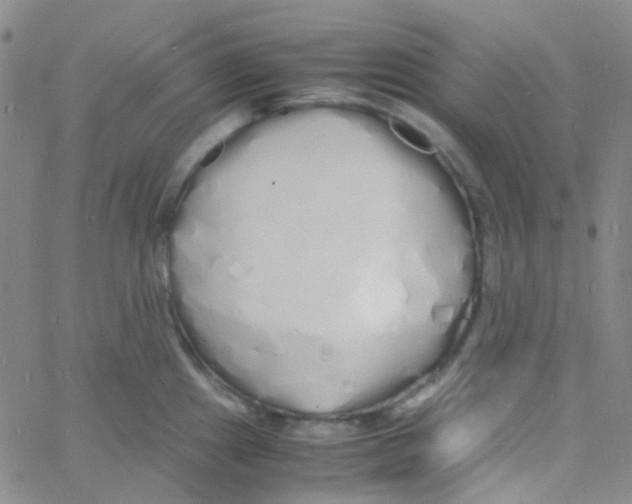 X0000060771241200512082025