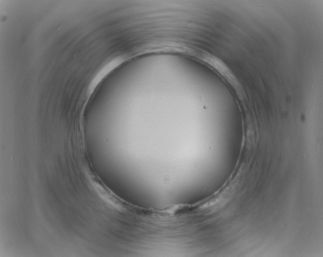 X0000060771242200512082025