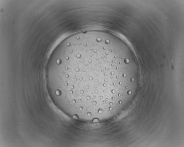 X0000060771243200512082025