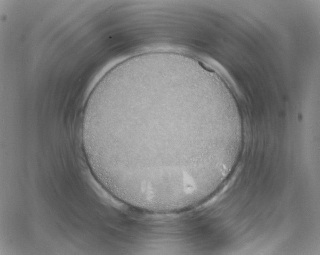 X0000060771244200512082025