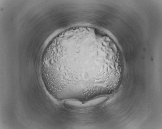 X0000060771245200512082025