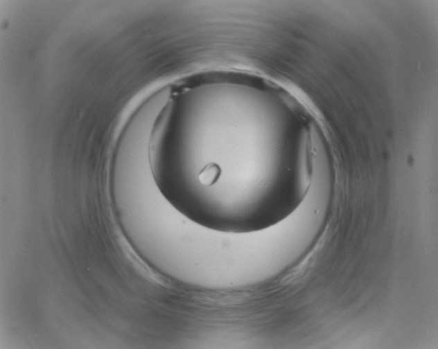 X0000060771246200512082025