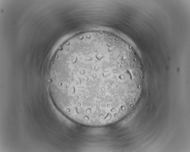 X0000060771247200512082025