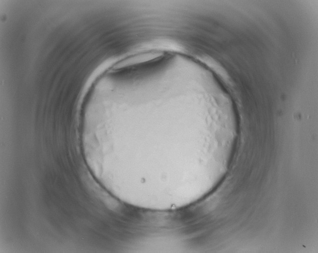 X0000060771248200512082025