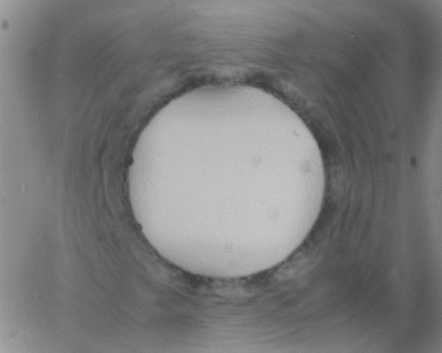 X0000060771249200512082025