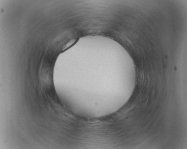 X0000060771250200512082025