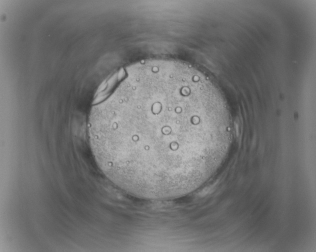 X0000060771251200512082025