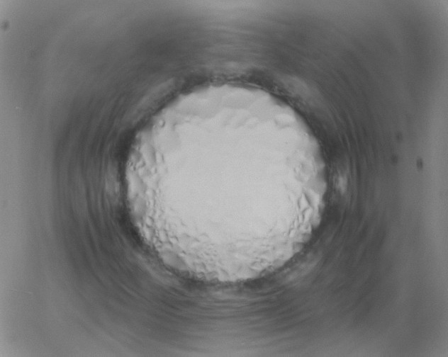 X0000060771252200512082025