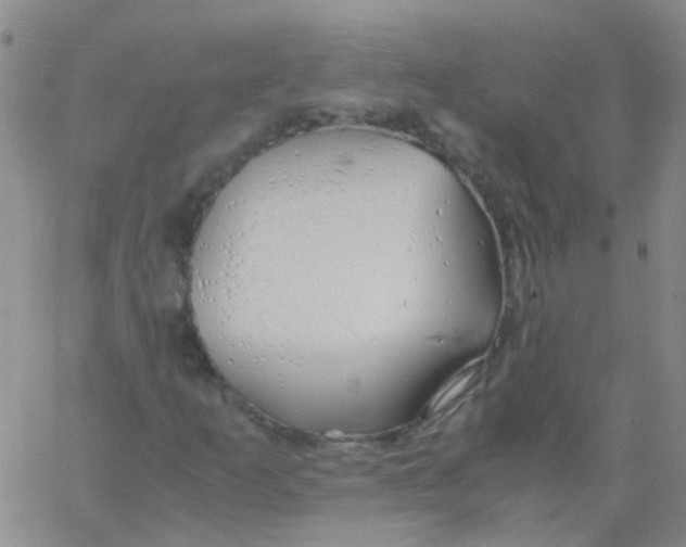 X0000060771253200512082025