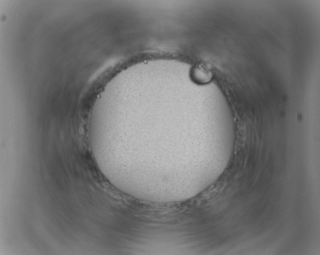 X0000060771254200512082025