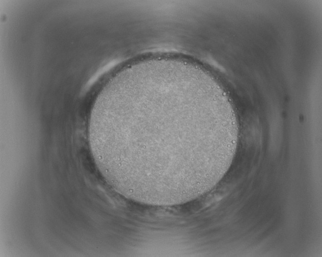 X0000060771255200512082025