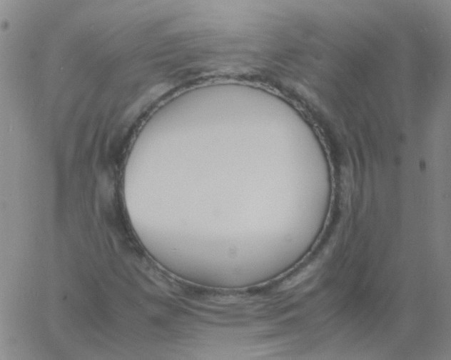 X0000060771257200512082024