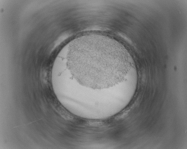 X0000060771258200512082024