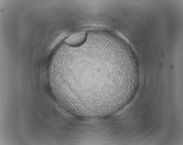 X0000060771259200512082024