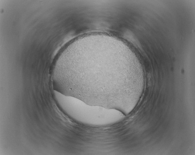 X0000060771260200512082024