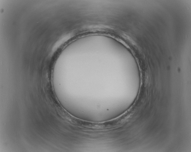 X0000060771261200512082024