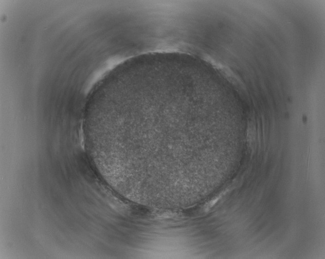 X0000060771262200512082024