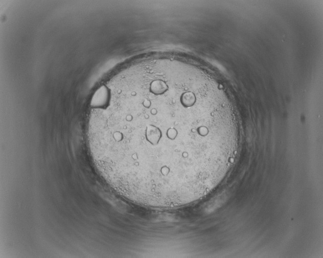 X0000060771263200512082024