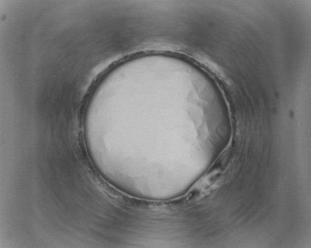 X0000060771264200512082024