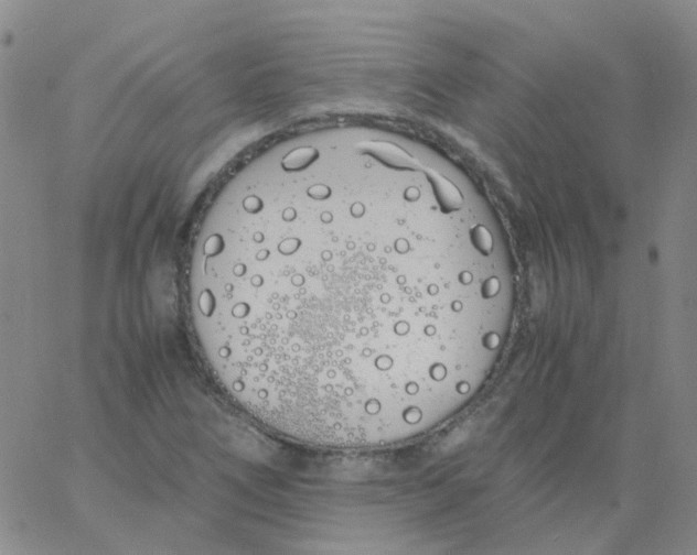 X0000060771266200512082024