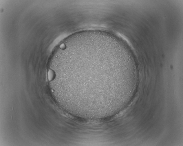 X0000060771267200512082024