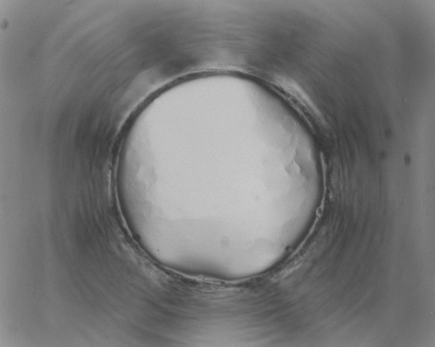 X0000060771268200512082024