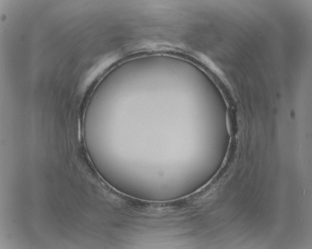 X0000060771269200512082024